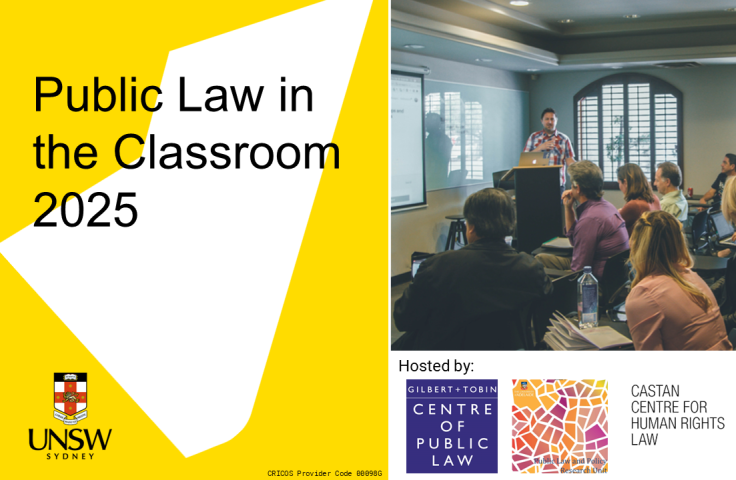 Public Law in the Classroom Workshop 2025